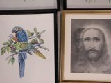 three framed pictures of jesus with parrots and a parrot on a branch