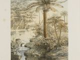 une image représentant un tableau d'un palmier dans un jardin tropical