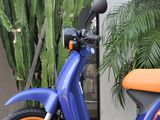a blue scooter parked in front of a cactus plant