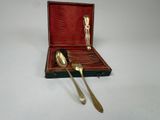 two spoons and a spoon rest in a case