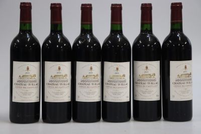 6 bouteilles Château Tuillac 2001 - Côtes de Castillon - Photo 1