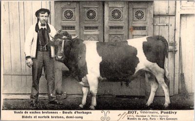 une photo en noir et blanc d'un homme debout à côté d'une vache