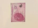 an image of a drawing of a flower in a square frame