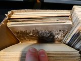 a person holding a stack of old records in their hand