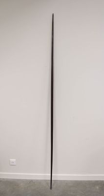 Arc Bois de fer à superbe patine brillante