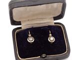 an image of a pair of earrings in a case on a white background