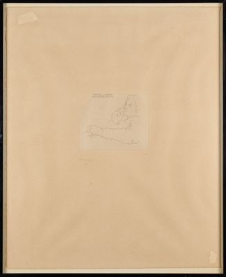 a drawing of a map of the country of new york