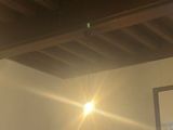 a bedroom with a bed and a ceiling fan in it