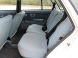 a cat sitting in the back seat of a car