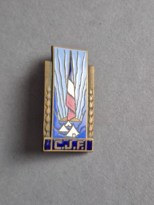 une photo d'une broche représentant une colombe