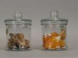 two glass jars with different types of shells in them