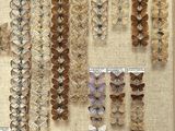 many different types of butterflies displayed in a display case