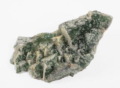 a piece of rock that is covered in moldy material