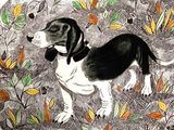 a black and white dog on a plate with leaves