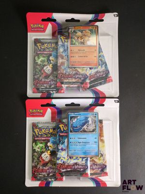 Deux paquets de cartes Pokémon se trouvent dans un étui en plastique.