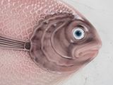 a pink fish that is sitting on a table
