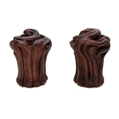 Rare ensemble de décor de tringles à rideaux Art Nouveau flo…