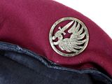 a close up of a hat with a bird on it