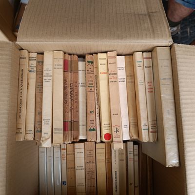Livres brochés nrf et divers