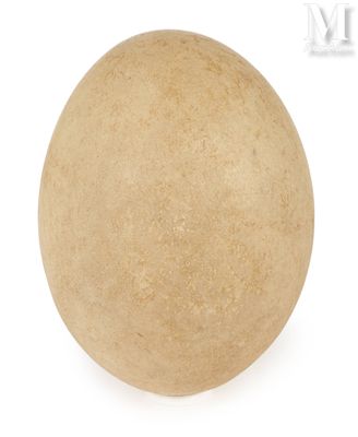 une boule de savon sur fond blanc