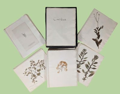 une boîte contenant tout un tas de cartes