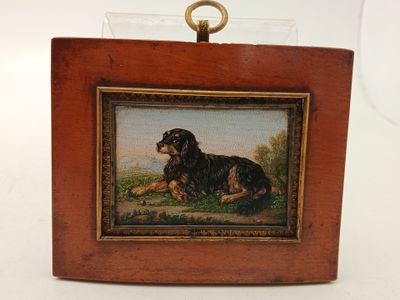une vieille photo représentant un chien couché par terre, dans un cadre en bois