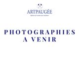Photo 1/1 du lot