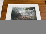 a picture of a painting on a table with a pencil