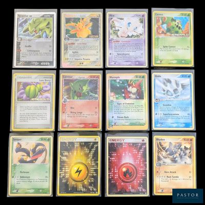 Plusieurs cartes Pokémon sont disposées sur une surface noire.