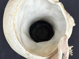an image of a white vase with a black lid and a flower on it