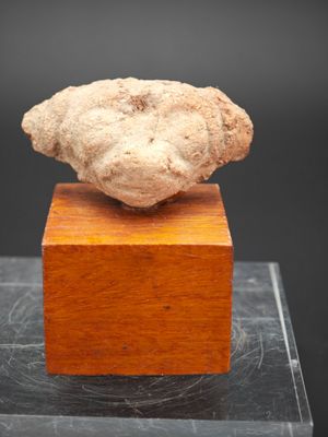 une tête antique en pierre posée sur un socle en bois, sur fond noir