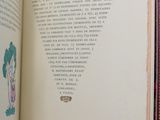 an open book with a picture of a woman and a cat on it