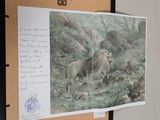 a picture of a picture of a lion on a bulletin board