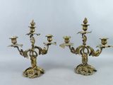 pair of antique brass candelabs with flowers and leaves