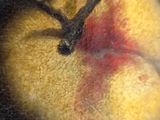 a painting of an apple with a red spot on it