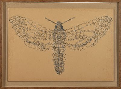 une image représentant un dessin de papillon de nuit sur une feuille de papier