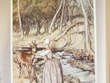 a picture of a book with a picture of a woman and a deer