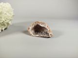 a small piece of rock next to a flower