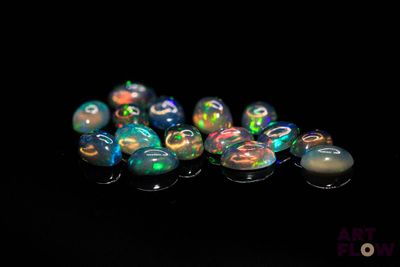 Plusieurs oplites sont alignés sur une surface noire