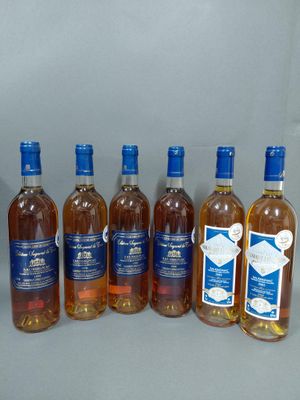 six bouteilles de vin sont alignées sur une table