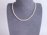 a white pearl necklace on a mannequin neck with a gold clasp