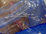 a teddy bear in a plastic bag wrapped in plastic