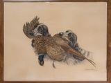 a picture of a painting of a pheasant and two other birds