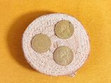 four coins sitting on a piece of bread on a yellow surface
