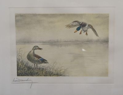 two ducks flying over a body of water