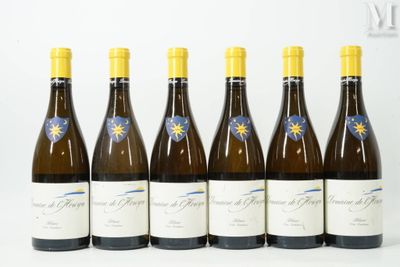 six bouteilles de vin sont alignées sur une surface blanche