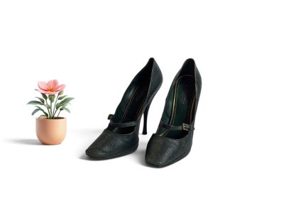 une paire de chaussures noires à talons hauts posée à côté d'une plante en pot