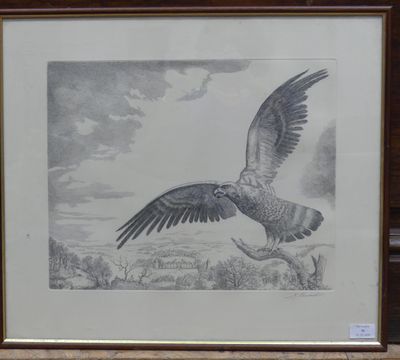 an image of a drawing of a bird flying over a field