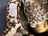 a stuffed giraffe with a tag on it ' s neck