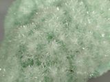 a close up of a toothbrush with a green head